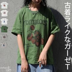 �v�����gT�V���c ���f�B�[�X ��100 ���� �������� �E(50)���[���։� �ĐV��
