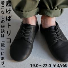 C [XAbvV[Y  q LbYEĔ́B[֕s TOY