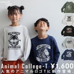 �A�j�}�� ����T ��100 ���� �N���[�l�b�N �L�b�Y �q�����E(100)���[���։� TOY �H�V��