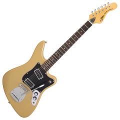 Schecter シェクター ニッキー・シックス アーティストシリーズ Nikki