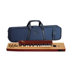 SUZUKI 桂 TAS-11 電気大正琴の通販はau PAY マーケット - chuya