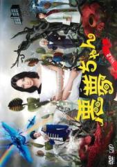 新品 江戸川乱歩の美女シリーズ Blu-ray BOX / (13Blu-ray) KIXF258
