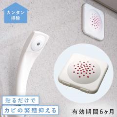 �h�J�r�� �����C�p ���C �����C�� �o�X���[�� �J�r��� �V�� �\�邾�� ���{�� �R�� ����t�� �V�R���� �Ԃ���� �x�r�[ �q�� �y�b�g ���S