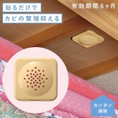 �h�J�r�� �J�r��� ������ �N���[�[�b�g ���ʔ� �V���N�� ���ʏ� �V�� �\�邾�� �ȒP�J�r��� ���{�� �R�� �V�R���� �Ԃ���� �x�r�[ �q