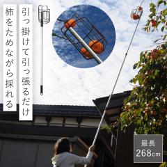 �`���_ �t���[�c�s�b�J�[ �`��� �`�̂� �` ��� �̂� ���n ���� �� �o�X�P�b�g �������� �ʕ� �t���[�c �L�k �_ �y�� �ȒP ���S �֗� 