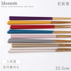 �� �H��@�Ή� ���p�� 22.5cm ���p�` �ዷ�� ������� ���{�� ��ɓ���� ���p�̔� �u���b�T�� ���� �A�[�X�J���[ �����݃J���[ �J���t��