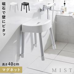  �}�O�l�b�g���C�C�X �~�X�g SH40 �R����� MIST ���C�C�X 40cm �}�O�l�b�g ���C�֎q �J�r�Ȃ� ������� ���m�g�[�� �z���C�g �u���b�N 1