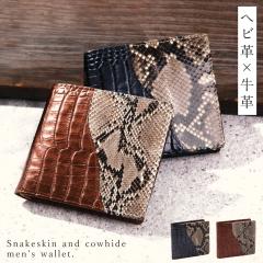 ���z ��܂���z �����Y �уw�r�����j�^������܂� �t���z 