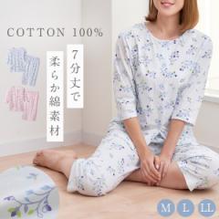 �p�W���} ���f�B�[�X ������ �㉺�Z�b�g ������ ��100% �R�b�g��100�� ��̓� �M�t�g �V�j�A ����� �t�� ������ �����p �傫���T�C�Y �Q