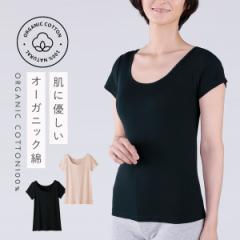 �C���i�[ ���� ���� �I�[�K�j�b�N�R�b�g�� ��100% ���f�B�[�X �t�����`�� �R�b�g��100% �� �R�b�g�� �q���� ���ɗD���� �X�g���b�` �L�k 