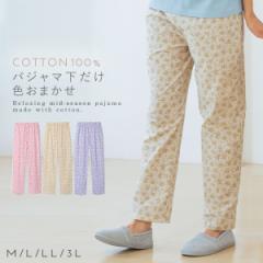 �y�F���܂����z �p�W���} ������ �y�F���܂����z���f�B�[�X ���[���p���c ��100�� �����O�� �����b�N�X�p���c ���[���E�G�A ���������� 