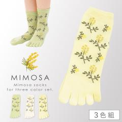 �ܖ{�w�\�b�N�X ���f�B�[�X �y3�F�g�z 22-25cm �ܖ{�w�C�� 5�{�w�\�b�N�X �ԕ� �C�� �t �~���U �y �t�ɂ҂�����E�~���U�̉ԕ��\�b�N�X 