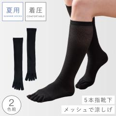 �����n�C�\�b�N�X �ėp ���f�B�[�X 5�{�w �n�C�\�b�N�X ���� 2���g 22-25cm �����\�b�N�X �� �҂�����t�B�b�g�������b�V��5�{�w�n�C�\�b