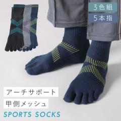 �ܖ{�w�\�b�N�X �����Y 3�F�g 25-27cm �C�� ���b�V�� ����Ȃ� 5�{�w W�T�|�[�g�����Y�\�b�N�X