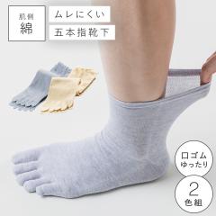 ������ ������� 5�{�w�\�b�N�X �C�� ���f�B�[�X �y2�F�g�z22-25cm �ܖ{�w �t�� �� �R�b�g�� �y ���S���Ȃ� �݂����ȗ����S�n�z ��邢 