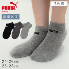 C Y 3Fg 24-26cm 26-28cm Ԃ\bNX v[} puma Xj[J[ v[}|CgXj[J[\bNX