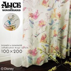 �s�v�c�̍��̃A���X �J�[�e�� �Ռ� �f�B�Y�j�[ 100�~200cm �Ռ��J�[�e�� �k�� �C���e���A �A���X ���[�Y�K�[�f�� �h���[�v 1�� ���{�� ��