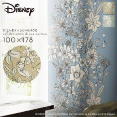 �v�[���� �J�[�e�� �f�B�Y�j�[ �Ռ� 100�~178cm �Ռ��J�[�e�� �k�� �C���e���A �v�[ �p���e�[�� �h���[�v 1�� ���{�� �􂦂� ������� �`