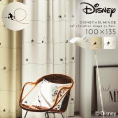 �~�b�L�[ �J�[�e�� �f�B�Y�j�[ �Ռ� 100�~135cm �Ռ��J�[�e�� �k�� �C���e���A �~�b�L�[ ���C�� �h���[�v 1�� ���{�� �􂦂� ������� �`