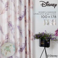 �~�b�L�[ �J�[�e�� �f�B�Y�j�[ �Ռ� 100�~178cm �Ռ��J�[�e�� �k�� �C���e���A �~�b�L�[ �t���� �h���[�v 1�� ���{�� �􂦂� ������� �`