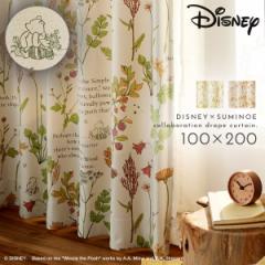 ���܂̃v�[���� �f�B�Y�j�[ �Ռ� �J�[�e�� 100�~200cm �Ռ��J�[�e�� �k�� �C���e���A �v�[ �t�����t�����Y �h���[�v 1�� ���{�� �􂦂� 