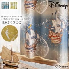 �s�[�^�[�p�� �f�B�Y�j�[ �Ռ� �J�[�e�� 100�~200cm �Ռ��J�[�e�� �k�� �C���e���A �t���C�C���U�X�J�C �h���[�v 1�� ���{�� �􂦂� ����