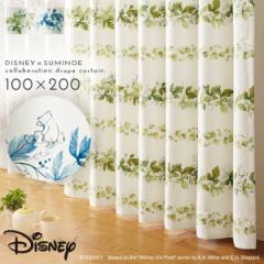 �v�[���� �J�[�e�� �f�B�Y�j�[ �Ռ� 100�~200cm �Ռ��J�[�e�� �k�� �C���e���A �v�[ ���[�X �h���[�v 1�� ���{�� �􂦂� ������� �`��L