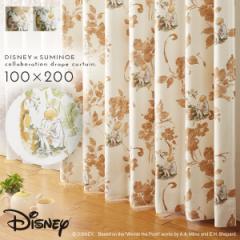 �v�[���� �J�[�e�� �f�B�Y�j�[ �Ռ� 1�� 1���Ռ� 100�~200cm �Ռ��J�[�e�� �k�� �C���e���A �v�[ �X�g�[���[ �h���[�v 1�� ���{�� �􂦂�