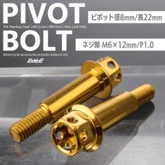 �o�C�N���o�[ ��t�p �s�{�b�g�{���g M6 P1.0 �s�{�b�g�a8mm �X�e�����X ���C���[���b�N�� �S�[���h 2�{�Z�b�g TH0542
