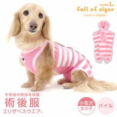 エリザベスカラー の代わりに 犬 服 夏 春 パイル ボーダー 術後服 エリザベスウエア(R) 女の子 ダックス 小型犬用 獣医