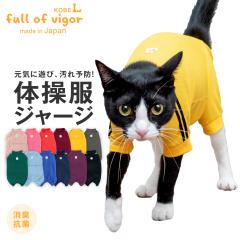 �L �� �ߏ�O���[�~���O ���� �V�j�A �r�߉� �� �L�p �̑��� �W���[�W �Ȃ� �̉����� ���x���� �����p�[�X �����ё΍� ���� �R�� �h