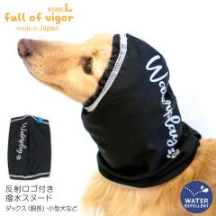 VJVJ Ȃ   ~ H Lт ₷  St  C Xk[h ΍ O΍ UV΍ J CR