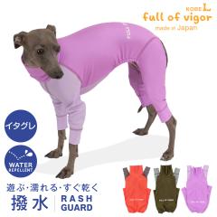 VJVJ Ȃ C^O  ~ H C^Op Lт ₷ hbOvC(R) zF  bVK[h O΍ UV