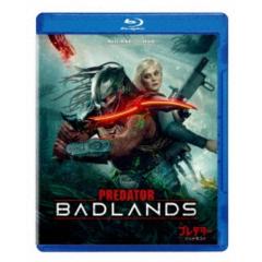 大河ドラマ べらぼう〜蔦重栄華乃夢噺〜 完全版 第壱集 ブルーレイ BOX