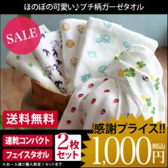 フェイスタオル ガーゼタオル 同柄2枚セット プチ柄 同時購入1セットまで 日本製 お試し ぽっきり 1000円ポッキリ 送料無料