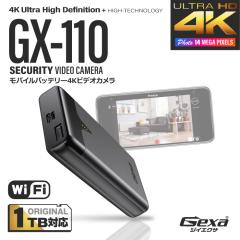 Gexa(ジイエクサ)充電器型カメラ 小型カメラ [GX-110] 防犯カメラ 6013gx1100p_01.jpg
