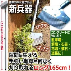 �R���N���[�g�̌��Ԃɐ������G�����ȒP�ɏ����ł��郍���O165cm�I�U�N���ƃg���[��   (�����n�Ή� ���ԏ� ����)