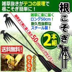 2�{�g �B�����̂悤�Ƀ��N���N�����郍���O50cm�I�G�����������_2�{�g �e�R�̌��� �ł��y�� �����鍪���q �X�`�[���� �� �Ԓd �k�� ����