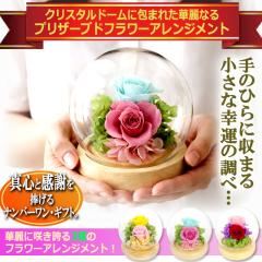 �K���̃v���U�[�u�h�t�����[�A�����W�����g �N���X�^���h�[���Z�b�g�@��̓� �����s�v �ؗ� �����ۑ� ��̂Ђ�T�C�Y ���� �^�S ���� 
