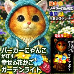 �p�[�J�[�ɂ�񂱂������K���̉Ԃ����K�[�f�����C�g �\�[���[�[�d�� ���z�� ��Ԏ����_�� �l�R �˂� �d�� ���C�g�A�b�v �q�L �o�X�P�b�g 