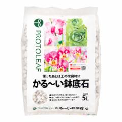 肥料 トーシンCa 20kg カルシウム肥料 液体肥料 液肥 追肥 いちご 果菜類 果実 葉 トマト きゅうり メロン 生科研の通販はau PAY  マーケット - エスエスネット | au PAY マーケット－通販サイト