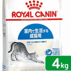 ロイヤルカナン 猫用 キャットフード 猫 インドア 室内で生活する成猫用 生後12ヵ月齢から7歳まで 4kg ジップ付(キャットフ