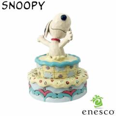 enesco(GlXR)yJIM SHOREzXk[s[ TvCY o[Xf[P[L SNOOPY tBMA RNV lC uh Mtg NX}