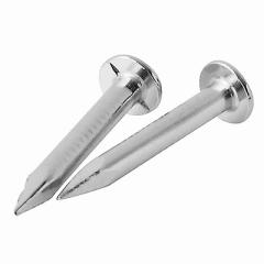 �y���[���ւł̔������i�z �i�^�p�B�t 2�{�� �܏\���n���H�� 4953821000437�y���������z 