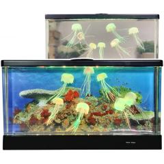 �A�N�A���E���N���Q���C�h �C�V�O�� 18161�y���������z 