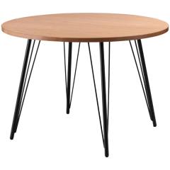 �_�C�j���O�e�[�u�� ���J�i���Â܂�j PT-339NA�y���������z (PT339NA)