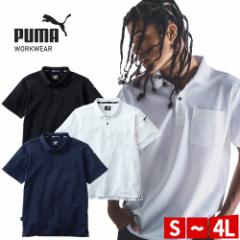 ƃEFA PUMA |Vc Y z  Xgb` ƒ ƕ Le[v UVJbg N[rY   |Vc 