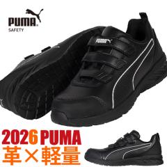 ���S�C �v�[�} PUMA ���C�_�[ 2.1 ���[ RIDER 2.1 LOW H&L �V���i �V�� �}�W�b�N�e�[�v JSAA�K�i �v���e�N�e�B�u�X�j�[�J�[ ���������� 