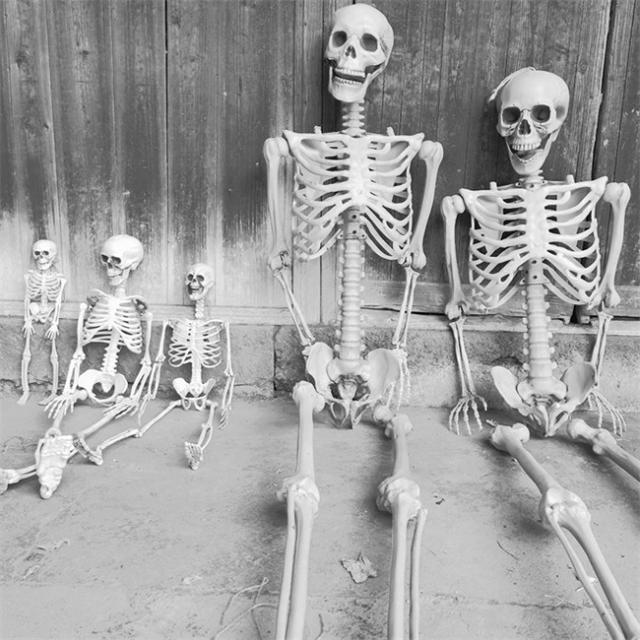 40 70 90 165 185CM ハロウィン 骸骨 ガイコツ 骨 等身大 置物 約165cm ホラー リアル 本格的 誕生日 飾り付け 室内 置物 仮装 クリスマス用品 怖い 恐怖 スケルトン s