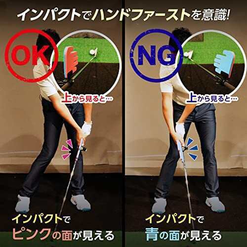 ダイヤゴルフ(DAIYA GOLF) ダイヤPRO AIの手 スイング練習器具 プロ 